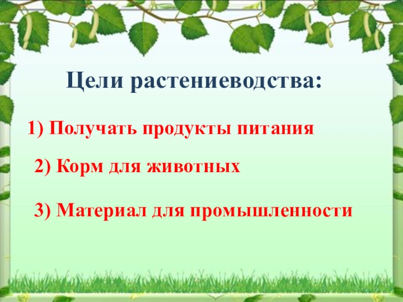 Растениеводство 3 класс проверочная работа