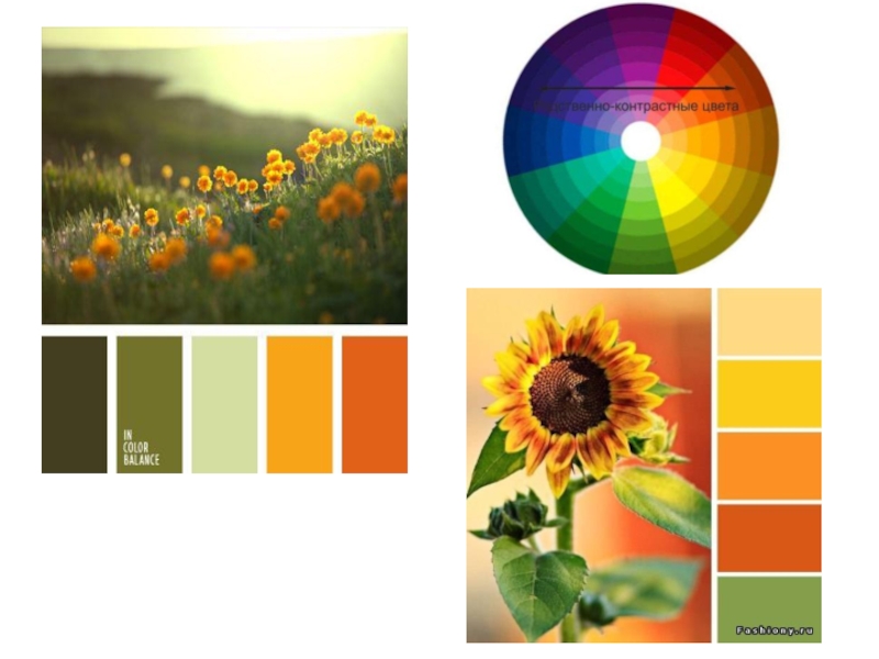 Определить палитру цветов по фото