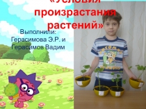 Проект Условия произрастания растений