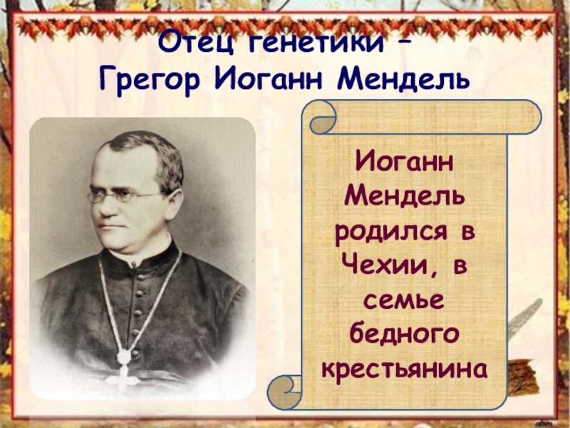 Отец генетики грегор иоганн мендель проект 11 класс