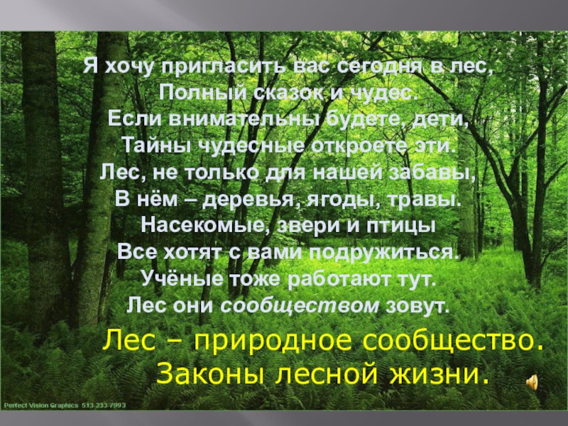 Рассказ про лес по плану 2 класс