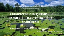 Презентация по экологическому воспитанию в подготовительной группе на тему: Знакомство с лягушками и их жизнью в естественных условиях.