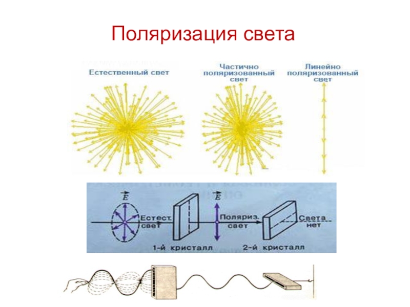 Презентация на тему поляризация света