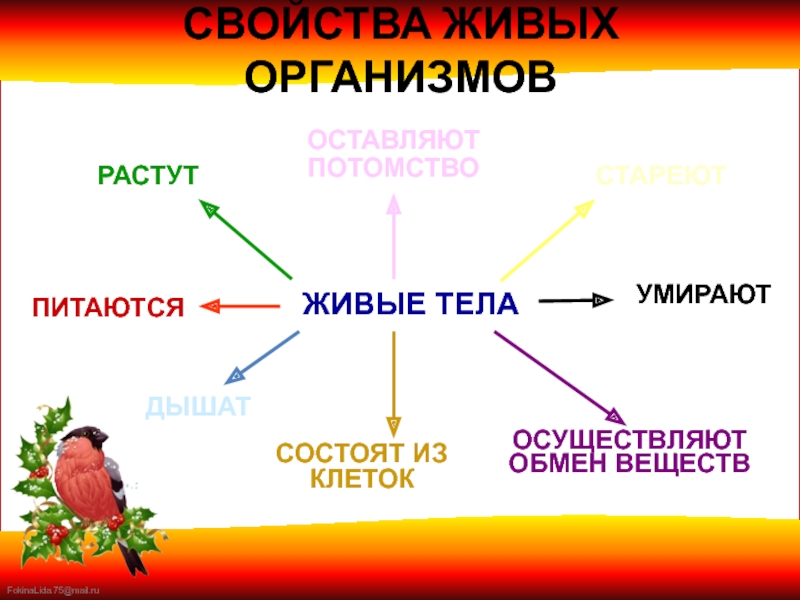 Схема свойств живых организмов