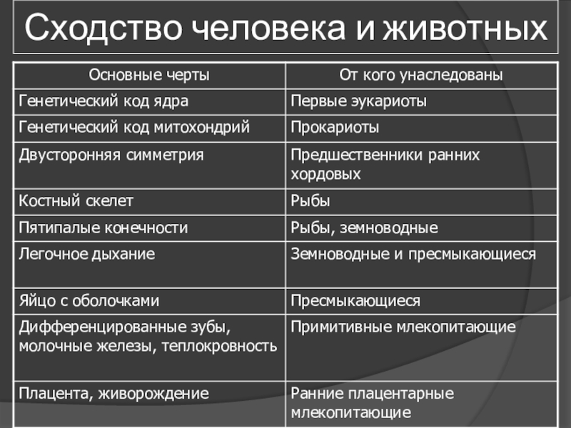 Сходство человека с животными и отличие от них презентация