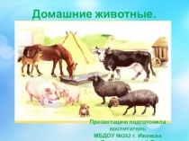 Презентация для детей старшего дошкольного возраста Домашние животные.