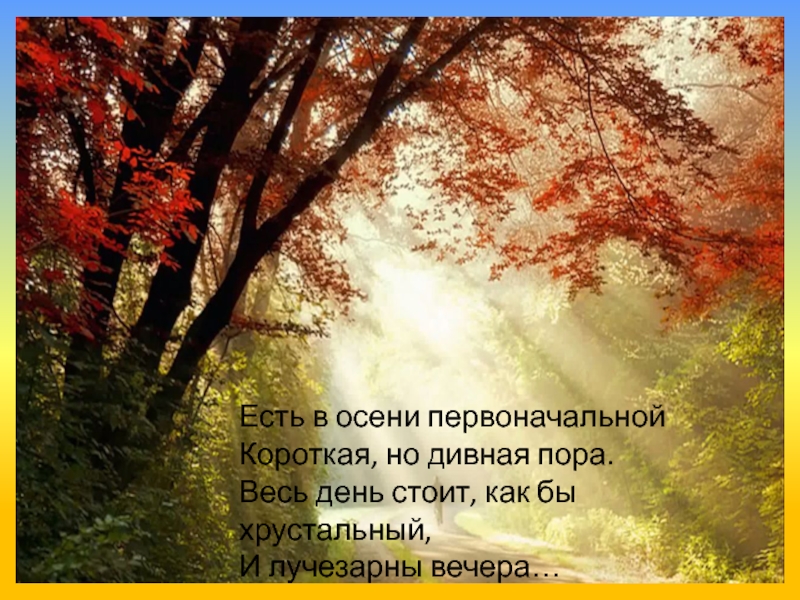 Есть в осени первоначальная но дивная пора. Есть в осени первоначальной. Есть в осени первоначальной короткая но дивная. Стихотворение есть в осени первоначальной. Тютчев есть в осени первоначальной.