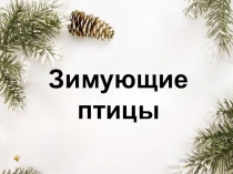 Презентация Зимующие птицы (иллюстративный материал для детей младшего дошкольного возраста)