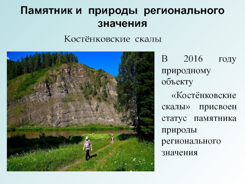 Регионального значения. Региональные памятники природы. Статус памятника природы. Защита памятников природы. Костенковские скалы.