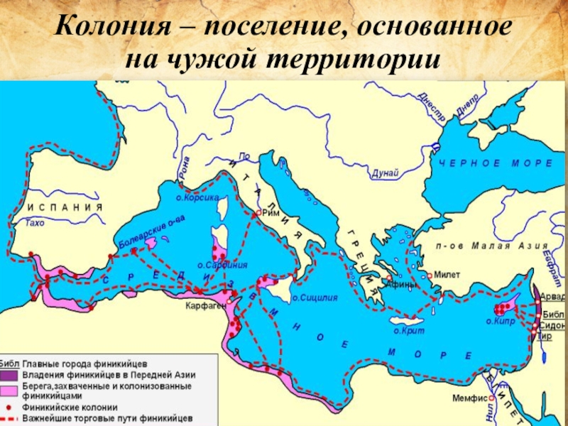 Греки основывали колонии на берегах каких морей