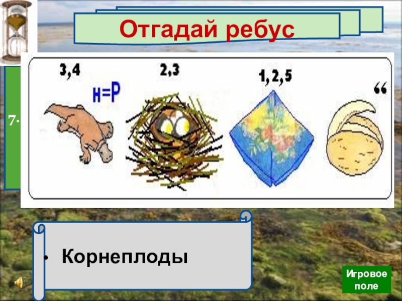 Викторина по ботанике 6 класс с ответами презентация