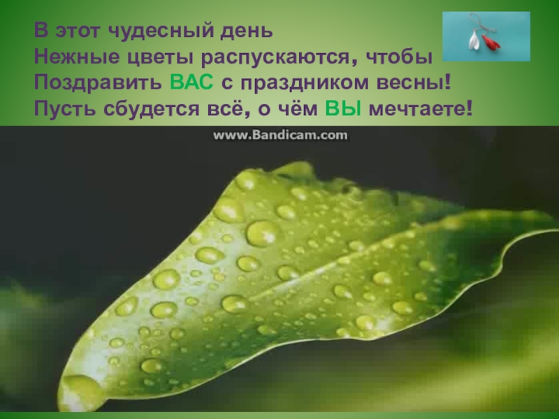 В этот чудесный день  Нежные цветы распускаются, чтобы Поздравить ВАС с праздником весны! Пусть сбудется всё, о