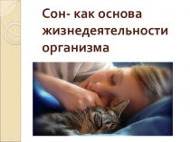 Беседа Сон как основа жизнедеятельности организма