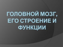 Головной мозг