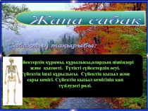 Сүйектердің құрамы, құрылысы олардың пішіндері және қызметі