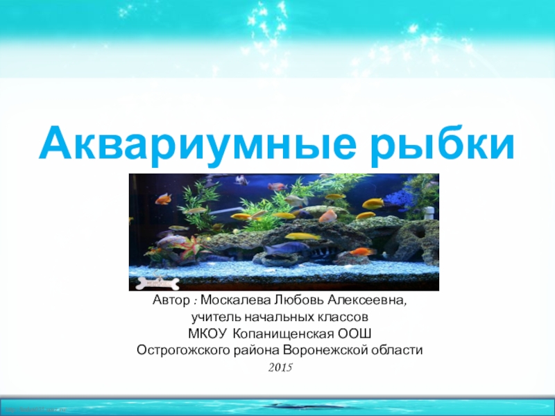 Презентация Презентация по окружающему миру Аквариумные рыбки