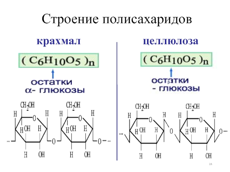 Схема образования крахмала