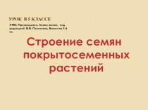Презентация Строение семян покрытосеменных к лабораторной работе Семена покрытосеменных растений