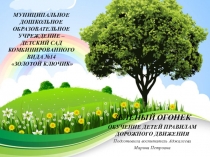 Презентация ПДД в ДОУ