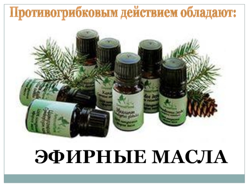 Масло дыши (композиция эфирных масел) 10мл. Эфирное масло дыши. Эфирные масла. Эфирные масла от простуды и насморка. Эфирные масла для ингаляции при насморке.