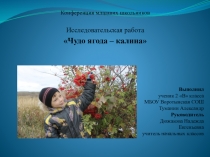 Презентация исследовательской работы Ягода - калина