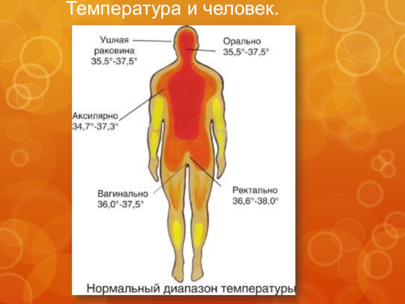 Temperatura cuerpo humano normal