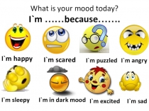 Презентация к уроку домашнего чтения на тему Football Mania? New Millennium English 7 класс