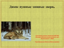 Презентация по биологии на тему Дикие пушные хищные звери (8 класс, Коррекционная школа VIII вида)