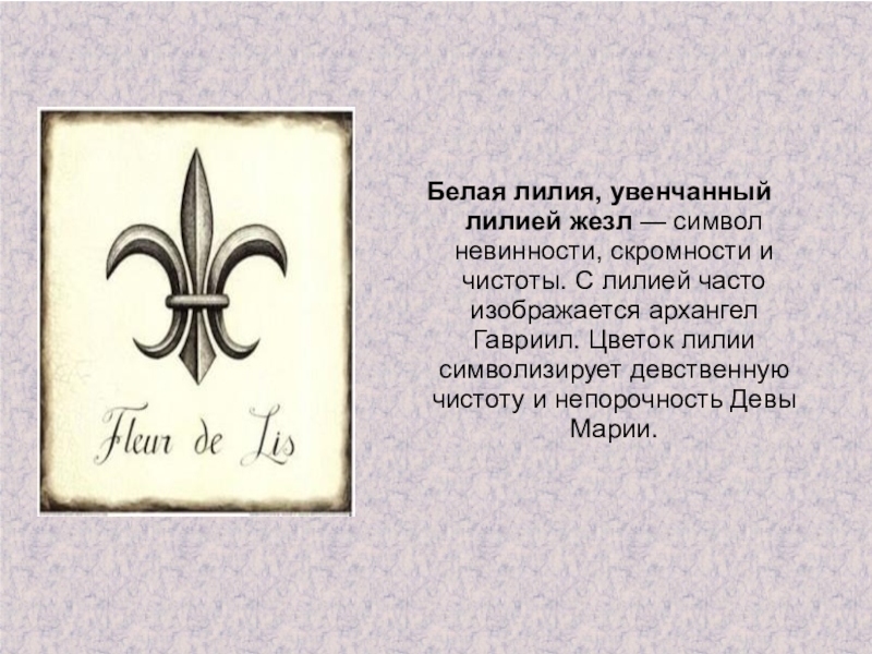 Что означают лилии. Символ Лилия в православии. Символ лилии в христианстве. Лилия в христианской символике. Белая Лилия символ.