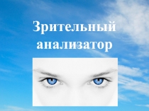 Презентация по биологии Зрительный анализатор (8 класс)