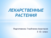 Лекарственные растения