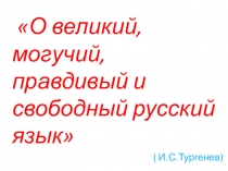 Презентация. Брейн-ринг по русскому языку и литературе 7-9 кл.