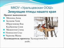 Презентация проекта Зимующие птицы