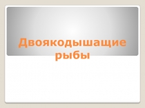 Презентация по биологии на тему Двоякодышащие рыбы