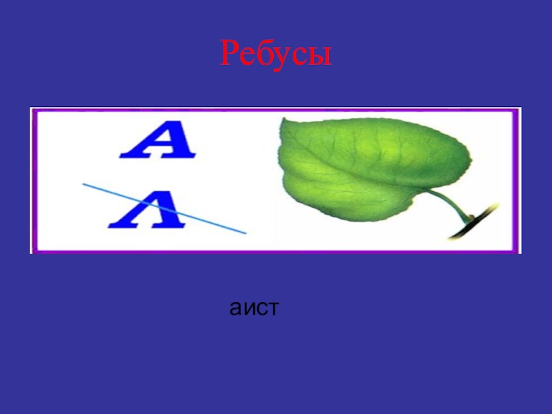 Разгадать ребус по фото 5 класс биология