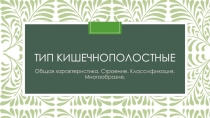 Презентация по биологии на тему Кишечнополостные (7 класс)