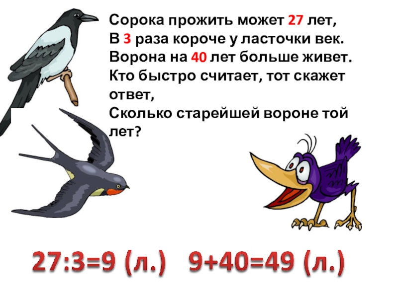 Ворона живет лет. Задача про ворону. Ласточка и ворона. Ворона задание. Задача про сороку.