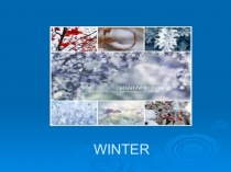 Презентация по английскому языку по теме  Времена года и название месяцев