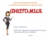 Презентация по биологии на тему Кость как орган (8 класс)