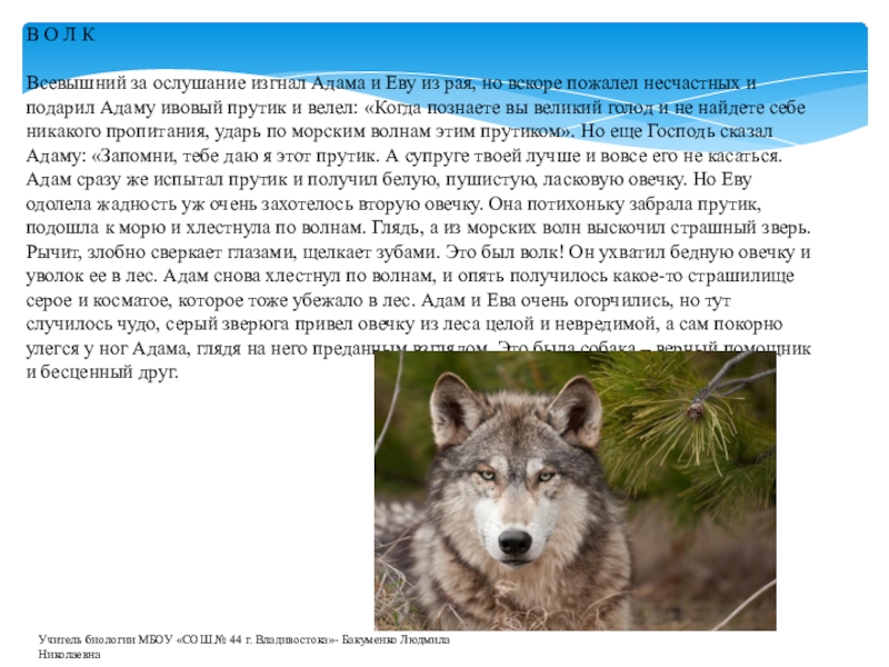 Легенды о животных 2 класс. Легенды о животных. Легенда про животное.