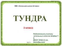 Презентация по окружающему миру Тундра (4 класс)