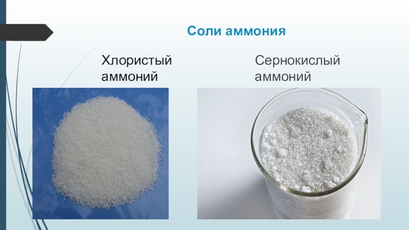 Гидроксид алюминия соляная кислота сульфат аммония. Соли аммония. Физико химические соли аммония. Аммониевая соль. Хлорид аммония это соль.