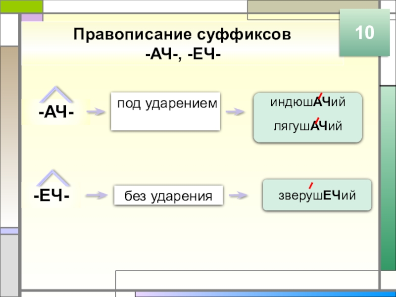 Правописание суффиксов -АЧ-, -ЕЧ-10-АЧ--ЕЧ-под ударениембез ударенияиндюшАЧийлягушАЧийзверушЕЧий