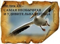 Презентация ученицы 1 класса на тему