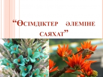 Өсімдіктер әлемі сыныптан тыс шара