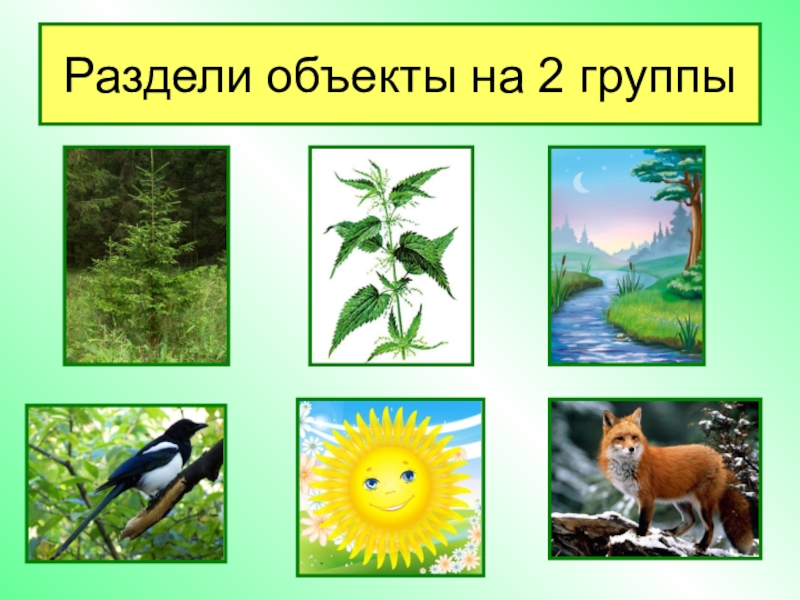 1 класс природа живая и неживая природа презентация