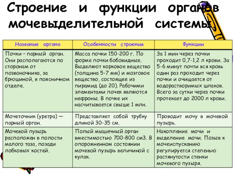 Участники рынка доверяют бизнес планам в которых