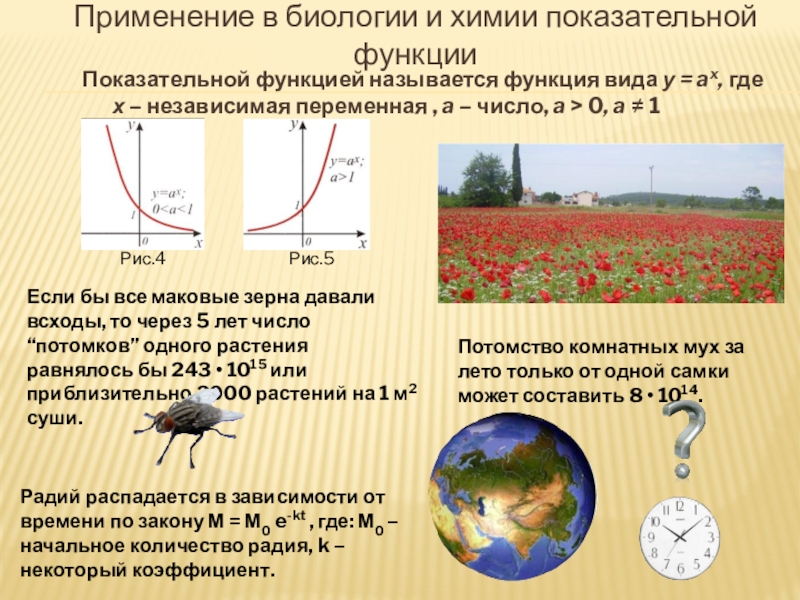 Проект на тему функции в жизни человека