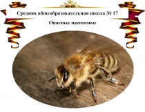 Материал к урокам по ОБЖ. Презентация Первая помощь при укусе насекомых