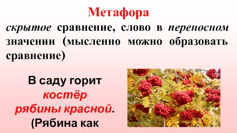 Зацветет рябина кончится весна а когда рябина покраснеет кончится лето схема